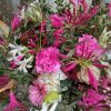 IMG_20241006_133938