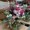 IMG_20241006_133949