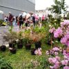 LF_2021_foto_k_TZ_navstevnost (10)