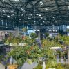 LF_2021_foto_k_TZ_navstevnost (3)