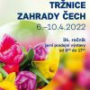 2022 TZC A1