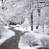 IMG_9999