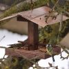 Sýkora modřinka (Parus caeruleus) a čížkové lesní (Carduelis spi