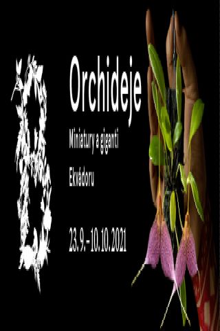 Výstava orchidejí Praha